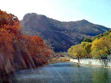 管家婆黑白马报图库，兴山seo营销